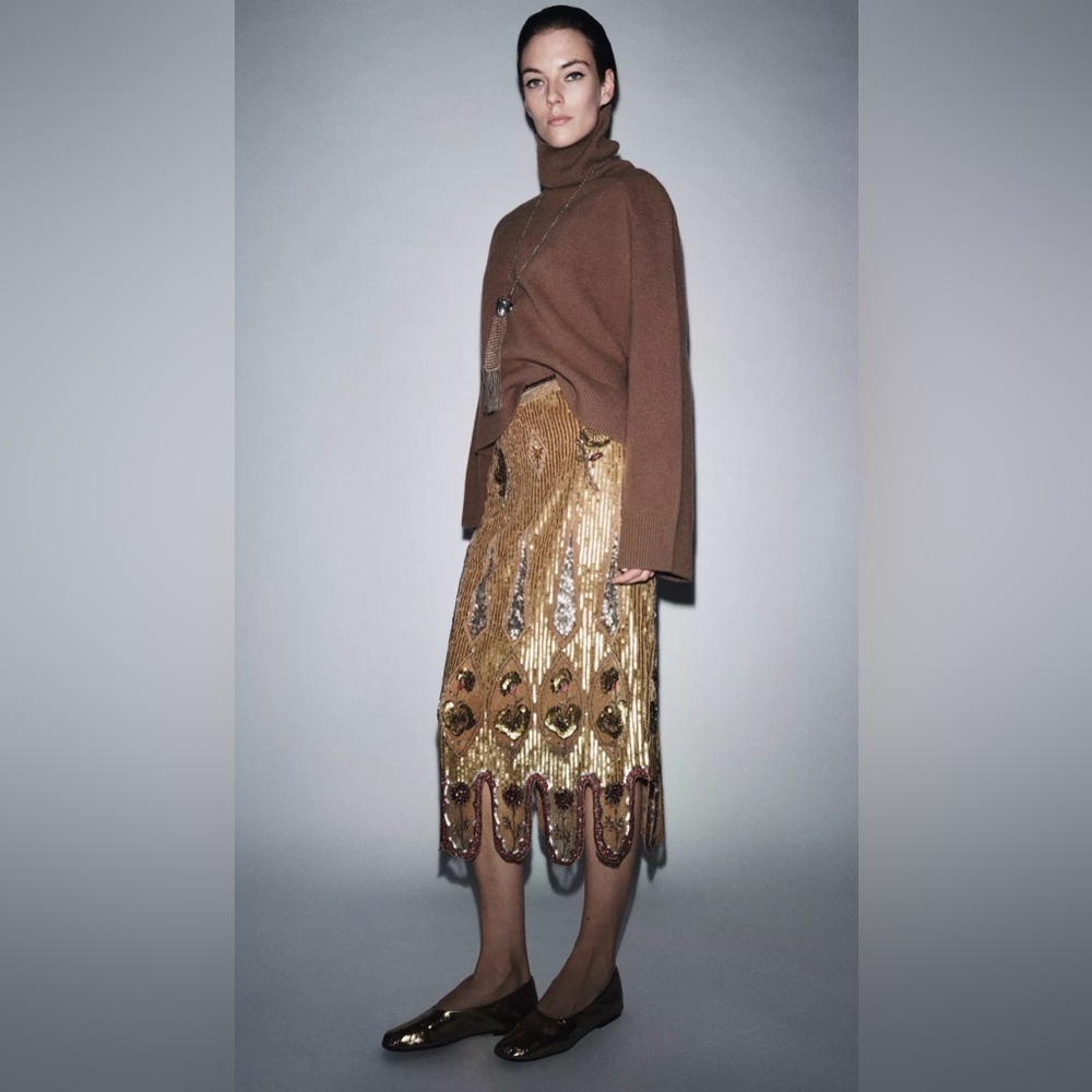 Zara ZW COLLECTION LIMITED EDITION EMBROIDERED SKIRT - Picture 2 of 5